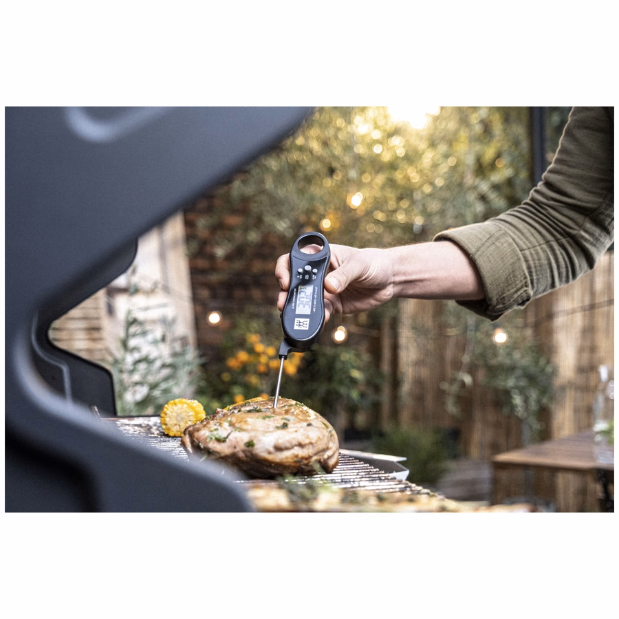 ABS Digital Thermometer