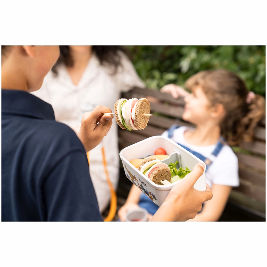 M, DINOS Vacuum Lunch Box, Plastic, White-Grey
