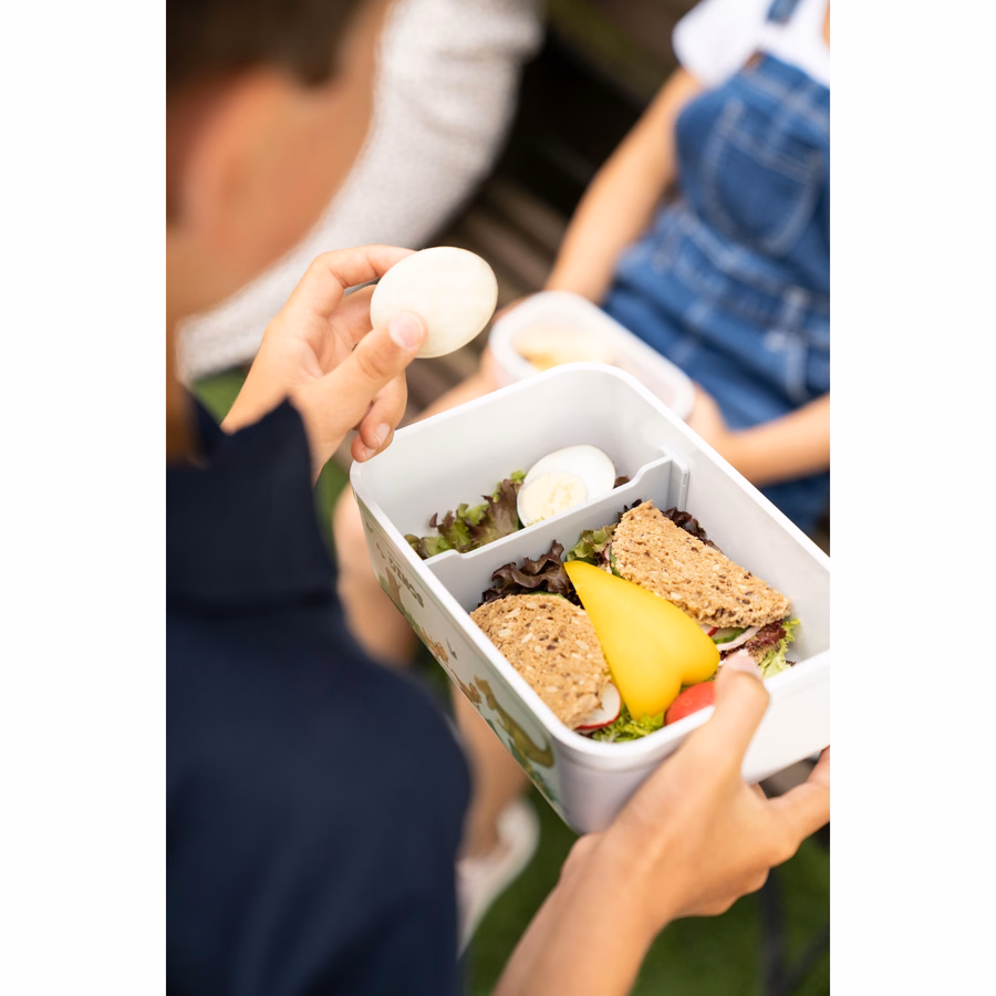 L, DINOS Vacuum Lunch Box, Plastic, White-Grey